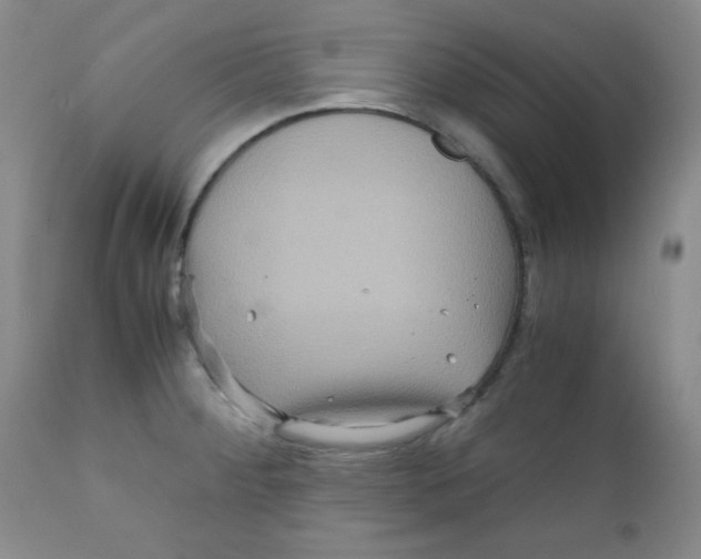 X0000111901284200908240953