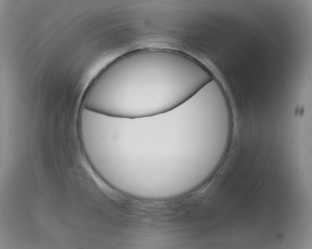 X0000111901285200908240953