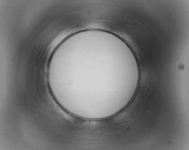 X0000111901286200908240953