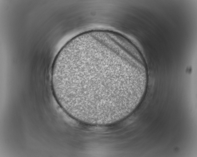 X0000111901287200908240953