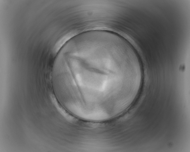 X0000111901289200908240952