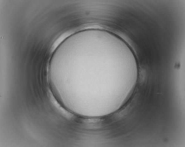 X0000111901290200908240952