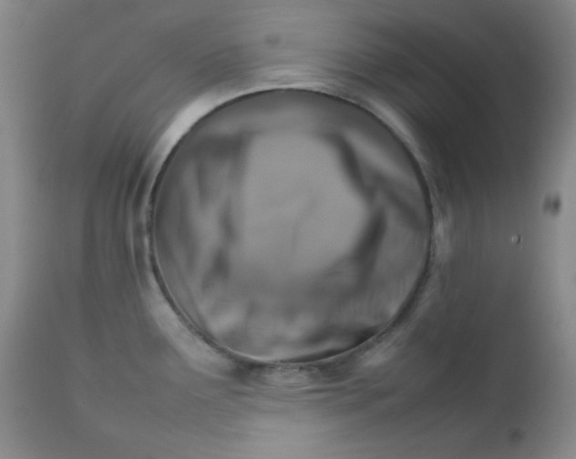 X0000111901291200908240952