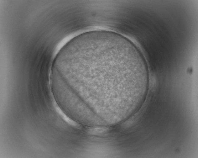 X0000111901294200908240952