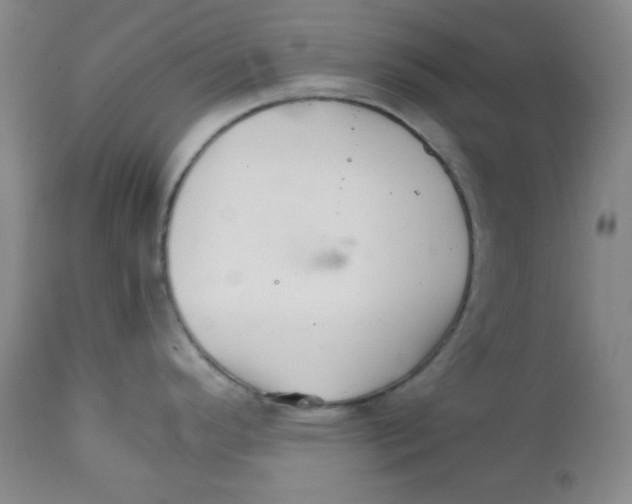 X0000111901296200908240952