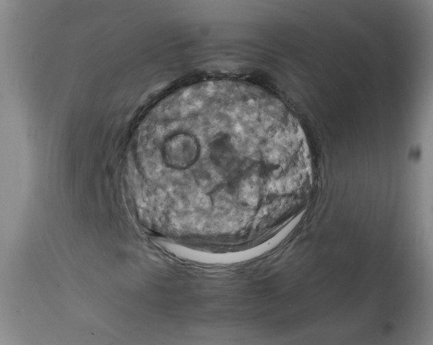 X0000111901297200908240952