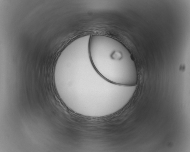 X0000111901298200908240952