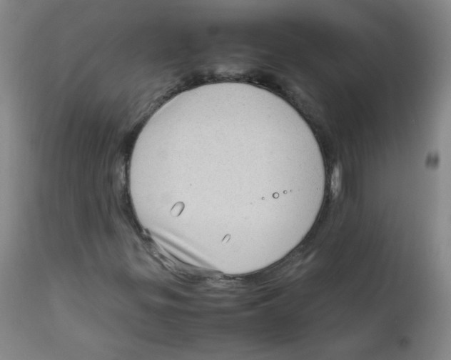 X0000111901299200908240952