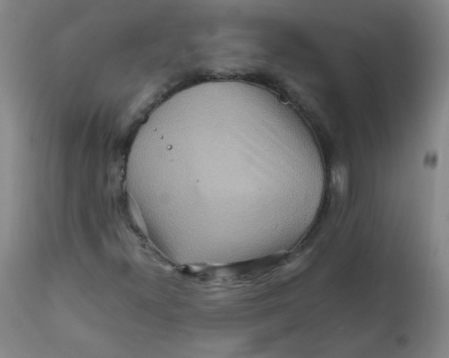 X0000111901300200908240952