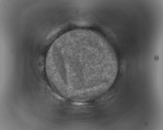 X0000111901301200908240952