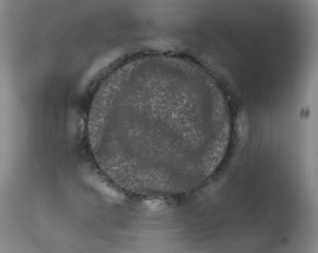 X0000111901302200908240952