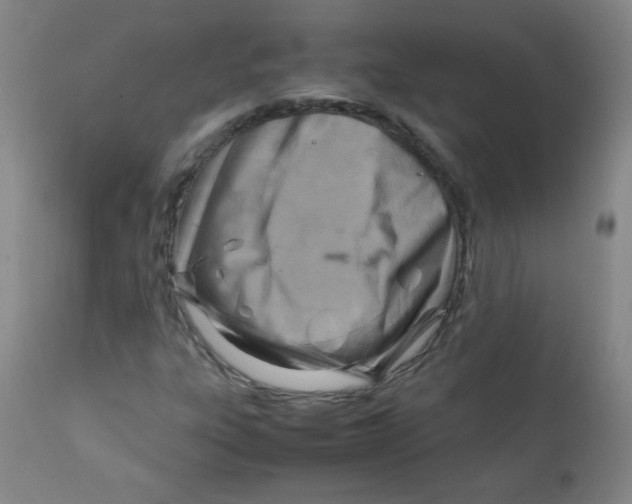 X0000111901303200908240952