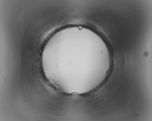 X0000111901304200908240952