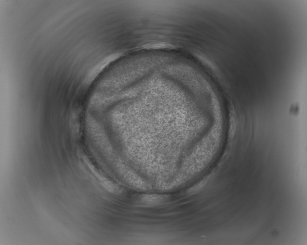 X0000111901305200908240952