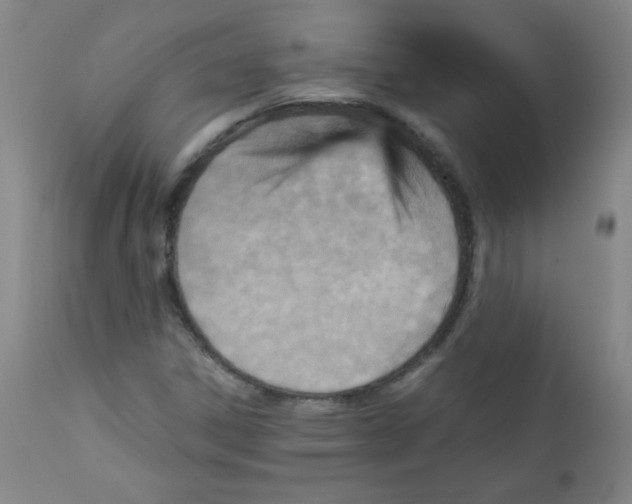 X0000111901306200908240952