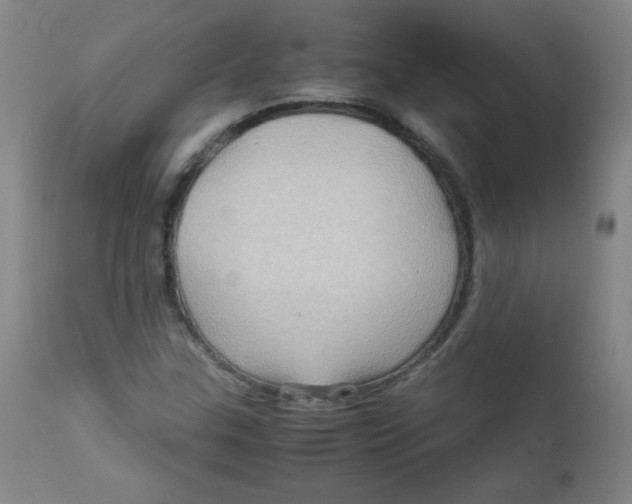 X0000111901307200908240952