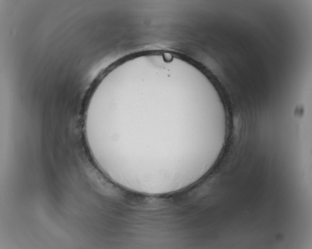 X0000111901308200908240952