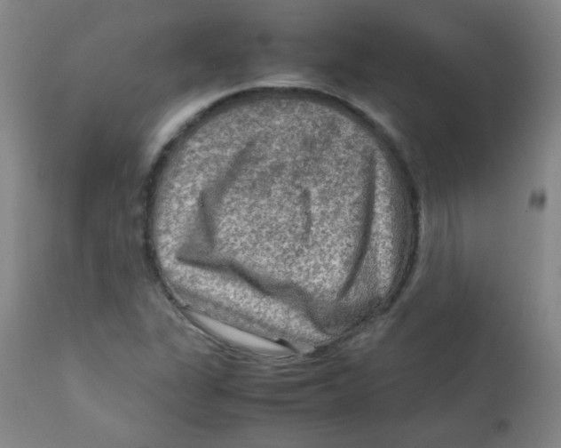 X0000111901311200908240952