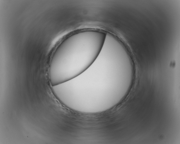 X0000111901312200908240952