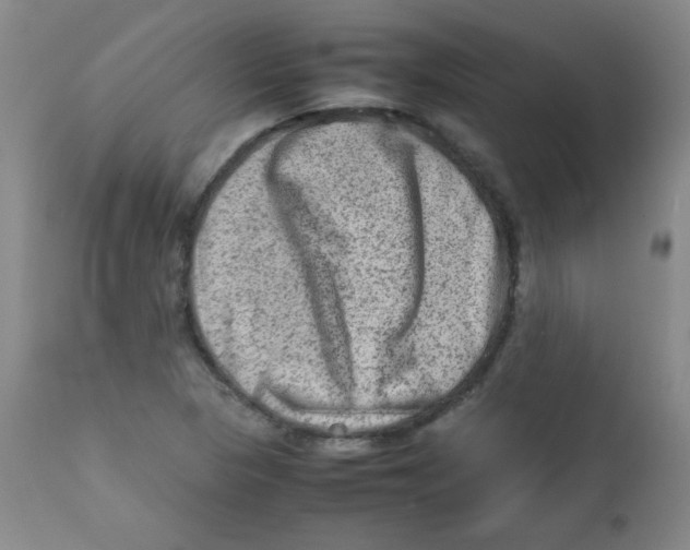 X0000111901313200908240952