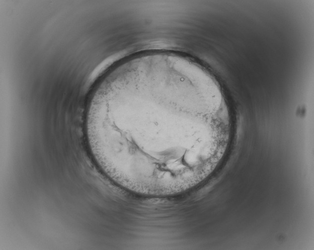 X0000111901314200908240952