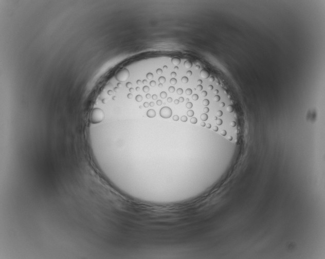 X0000111901315200908240952