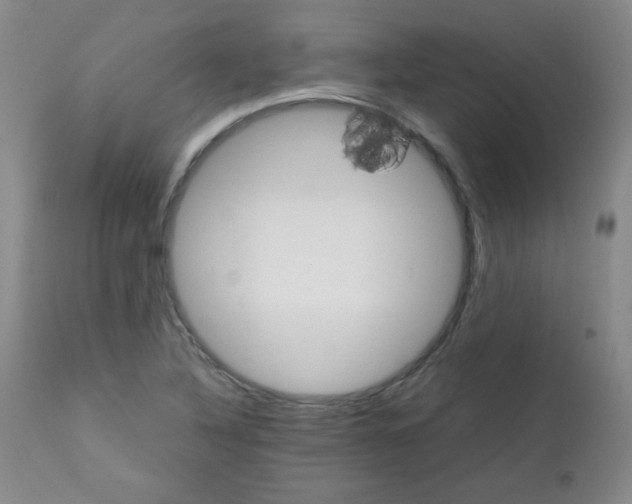 X0000111901316200908240952