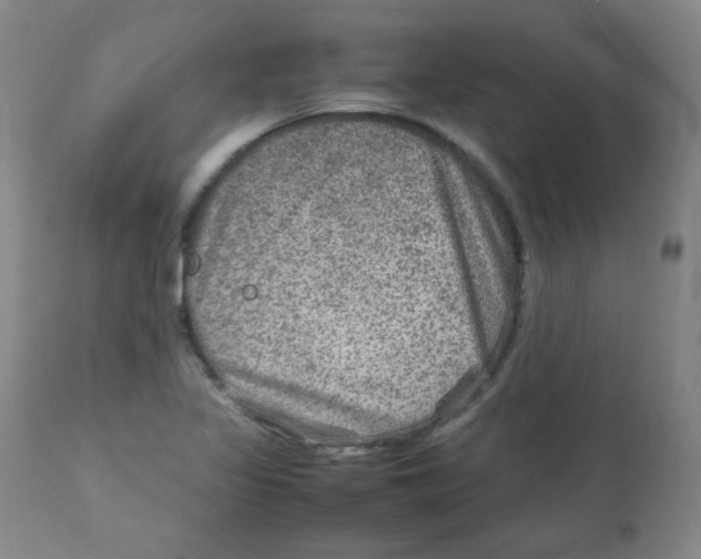 X0000111901317200908240952