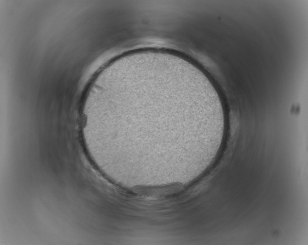 X0000111901318200908240952