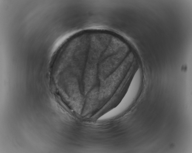 X0000111901319200908240952