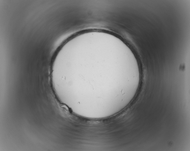 X0000111901320200908240952