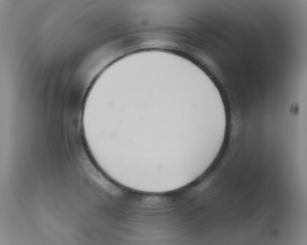 X0000111901322200908240952