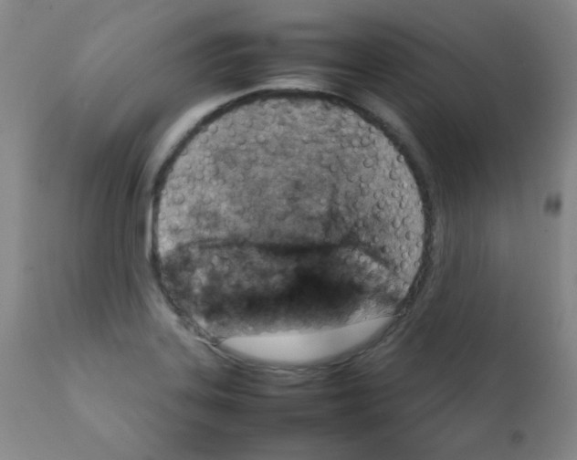 X0000111901323200908240952