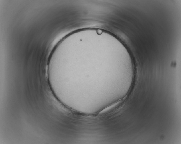 X0000111901324200908240952