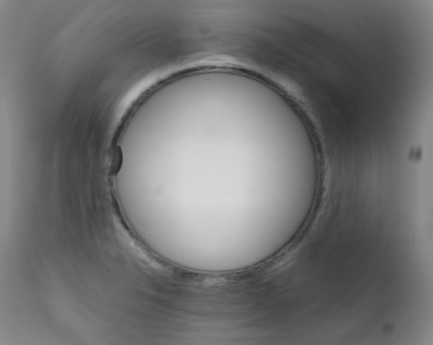 X0000111901326200908240952