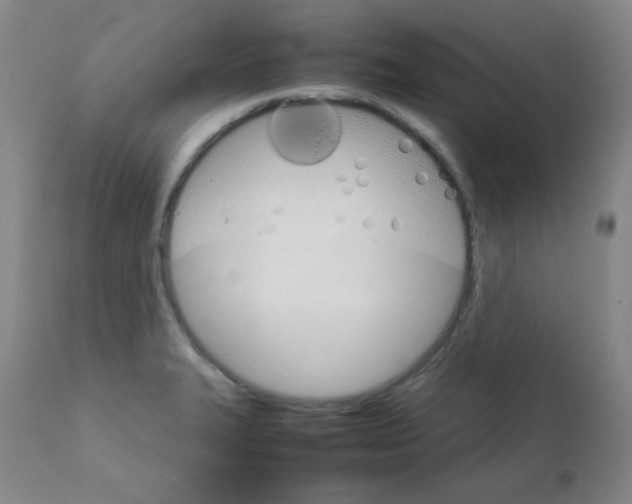 X0000111901327200908240952