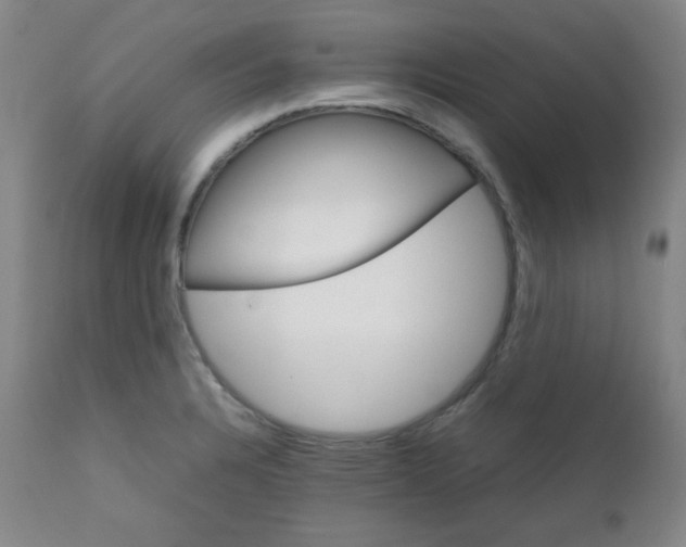 X0000111901328200908240952