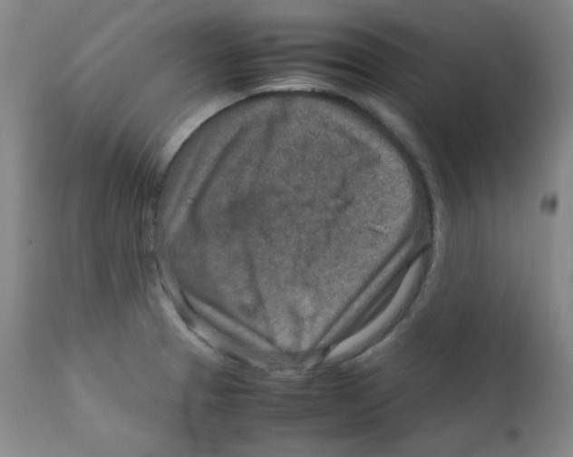 X0000111901329200908240952