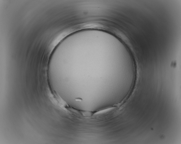 X0000111901330200908240952