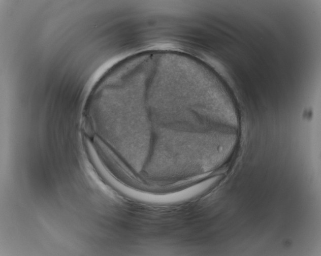 X0000111901331200908240952