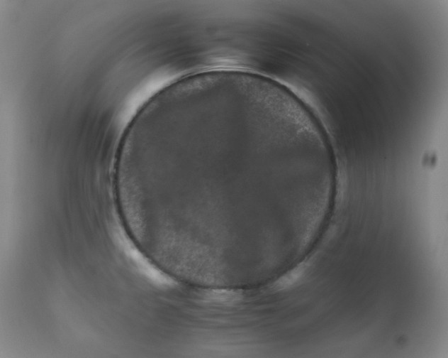 X0000111901333200908240952