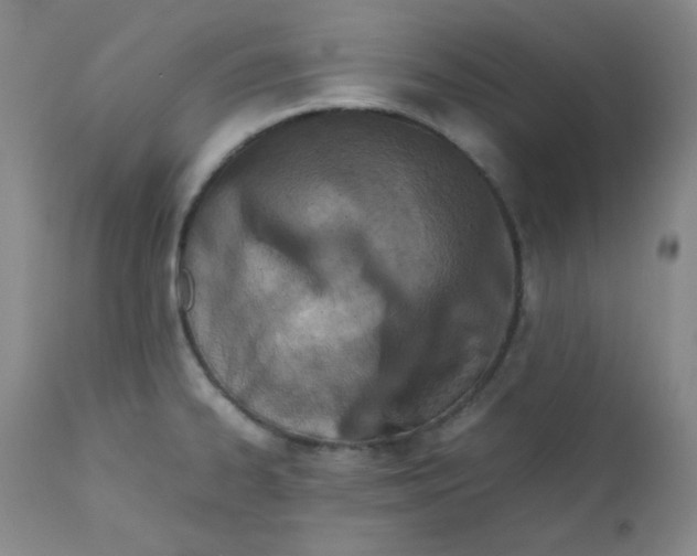 X0000111901334200908240952