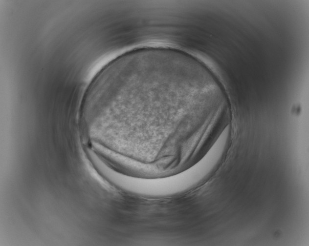 X0000111901335200908240952