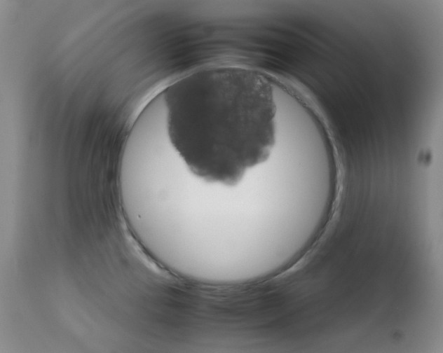 X0000111901337200908240952