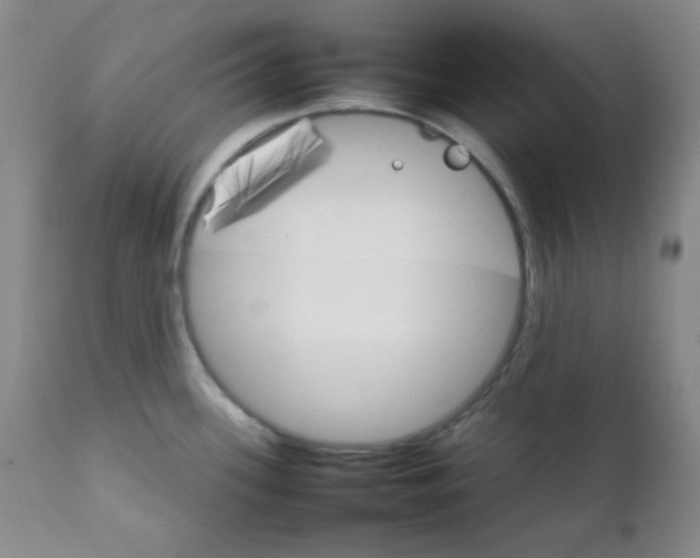 X0000111901339200908240952