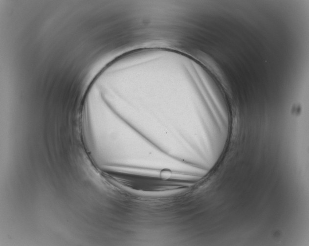 X0000111901340200908240952