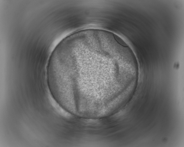 X0000111901341200908240952