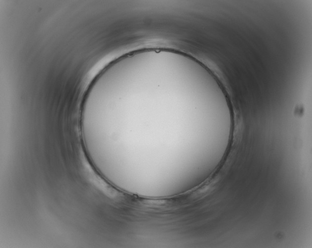 X0000111901342200908240952