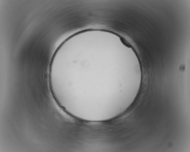 X0000111901343200908240952