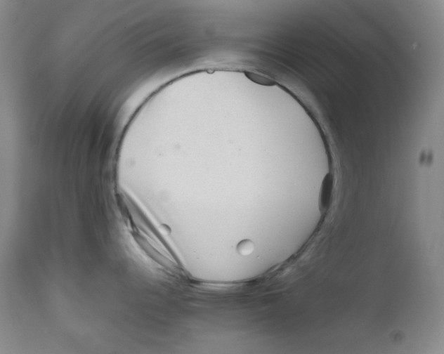 X0000111901344200908240952